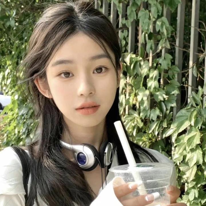 少年自当扶摇上